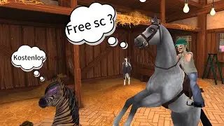 Das dachtet ihr als Anfänger 🫣😇 (Star Stable Online)