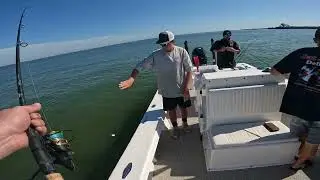 Valhallasent17 Snook snatchin pt2