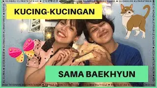 MAIN KUCING-KUCINGAN SAMA #BOL4 DAN EXO #BAEKHYUN DI MV TERBARU  | WE REACT TO...