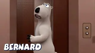 Бернард Медведь | Бернар застрял в лифте! И БОЛЬШЕ | Мультфильмы для детей | Полные эпизоды