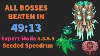 Expert All Bosses in 