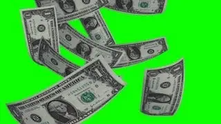 Doller Rain on green screen - free green screen - free use