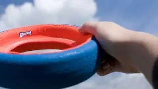 Chuckit! Wheel Fetch Dobó karika a kutyamania.hu-n