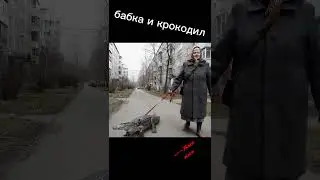 бабка и нейросетка 
