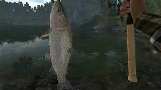Fishing Planet 2021 - 4th July - Fish Tag coordinates 6 - with Sword Restoration and Cannon