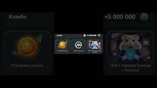 комбо в HAMSTER KOMBAT на 5 августа