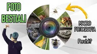 FOTO BESTIALI • MACRO FOTOGRAFIA... Perchè?