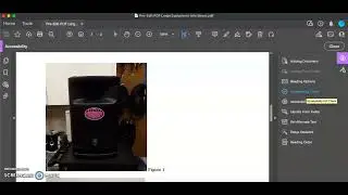 Final PDF Alt Text Video