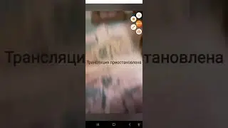 ок лайф Катя мурманская.мишка зарабатывает на пиво