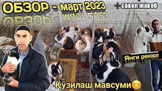 ОБЗОР қуён ферма - Март 2023й. Dilyorbek Quva