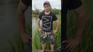 17 июня 2023 г.