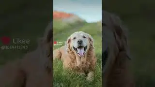 18 июля 2024 г.