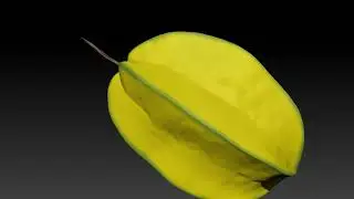 Zbrush Turnaround Starfruit