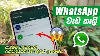 WhatsApp Top Features Hidden Tips & Tricks