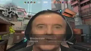 Sage |VALORANT| Memes Edition