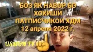 БОЗ ЯК НАВОР БО ХОХИШИ ПАТПИСЧИКОИ ХДМ  12 апреля 2022 г.