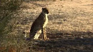 Michaela Strachan’s Unforgettable Adventure at Mashatu