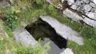 St Celynin's Well at Llangelynin Old Church
