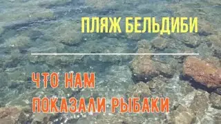 Пляж и РЫБАлка в Бельдиби, а мы видели - АКУЛУ