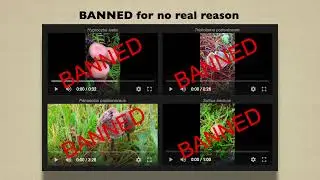Banned videos. Why ?