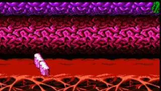 Top 10 NES Games!