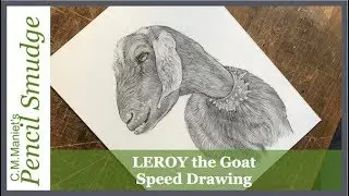 Pencil Smudge Leroy the Goat