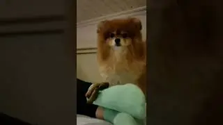 дал тепла на ноги