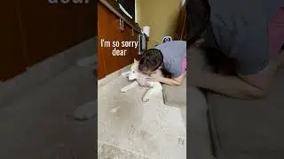 My dog bit my girlfriend so I had to put her down