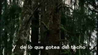 Nirvana - Something In The Way ( Subtitulado )