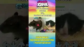 FNF VS NONSENSE CONTEXT TOWEL CAT VS CAPYBARA - Friday Night Funkin' FNF Mod - Custom Animation