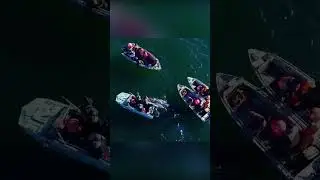 Hunting whales for survival