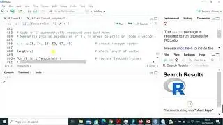 For loop in R (practice) - R Crash Course