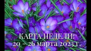 ТАРО ПРОГНОЗ НА НЕДЕЛЮ с 20 - 26.03.2023 г. |  ГОРОСКОП НА НЕДЕЛЮ | ТАРО ПРОГНОЗ