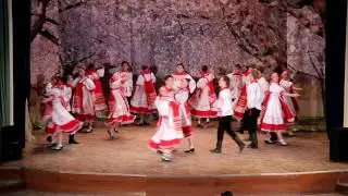 карман ваты