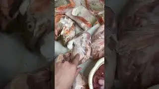 Заготовки. Налим, форель, курица.