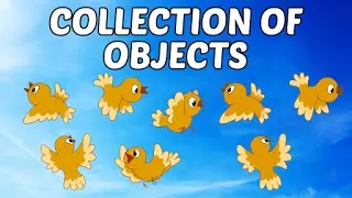 Types Of Collection of Objects For Kids | Objects For Kids | Kids Vocabulary | Educational Videos