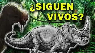 5 CASOS de DINOSAURIOS que siguen VIVOS ¿entre nosotros?