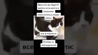 Мемы по ТикТоку #1005