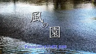 風の園 / LUMIX GH6