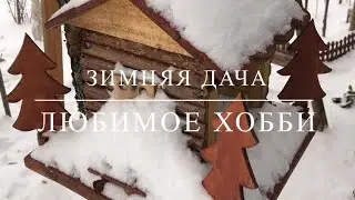 Как позаботиться о саде зимой ?