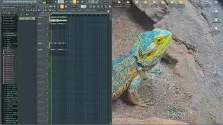 Cymatics Sample ft felixmokayabeatz