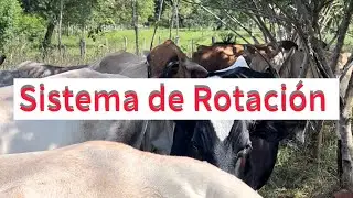 Sistema de Rotación