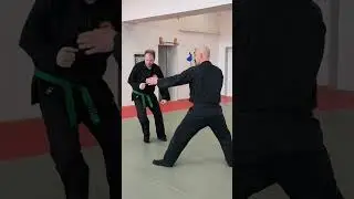 Basic's Gyokko Ryu Part 1