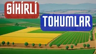 SİHİRLİ TOHUMLAR