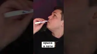🐭Крыса в пати 