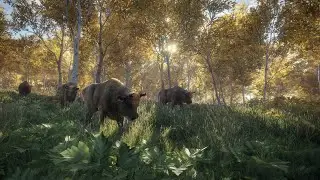the Hunter Call of Wild