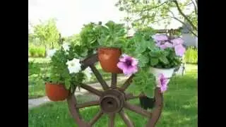 Дачные похвастушки! .wmv