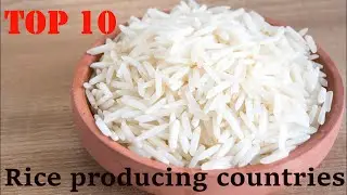 TOP 10-rice  countries (1961-2018)