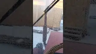 ЛТЗ 55А. Преимущество мотора Д-144. Пуск -20 без подогрева.