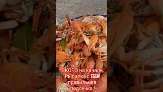 Классический рецепт волжских раков.#shorts    #teamправильнаяподсечка